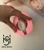 قالب سیلیکونی قو برای شمع سازی و رزین
