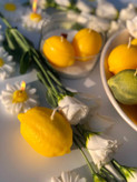 قالب سیلیکونی لیمو برای شمع سازی و رزین