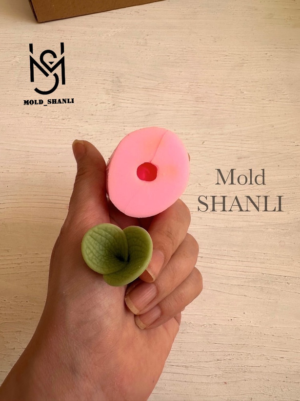 قالب سیلیکونی ست برگ پونه